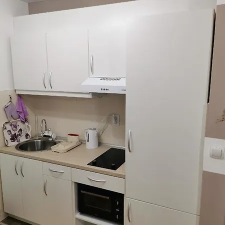 Διαμέρισμα My Bouquet Vrnjačka Banja