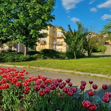 My Bouquet Apartman Vrnjačka Banja