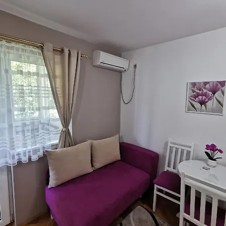 My Bouquet Vrnjačka Banja