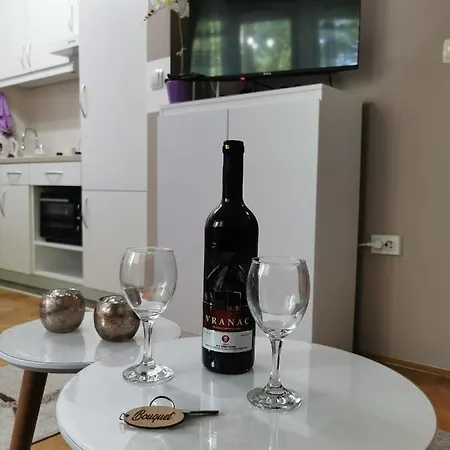 Διαμέρισμα My Bouquet Vrnjačka Banja
