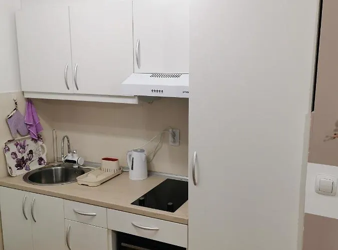 Apartment My Bouquet Vrnjačka Banja