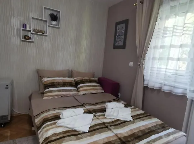 My Bouquet Vrnjačka Banja