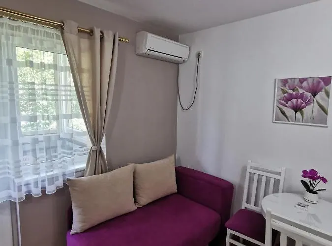 My Bouquet Vrnjačka Banja