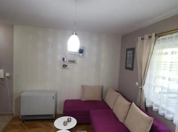 Apartment My Bouquet