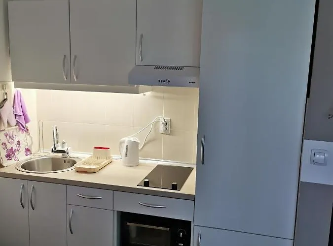 My Bouquet Vrnjačka Banja